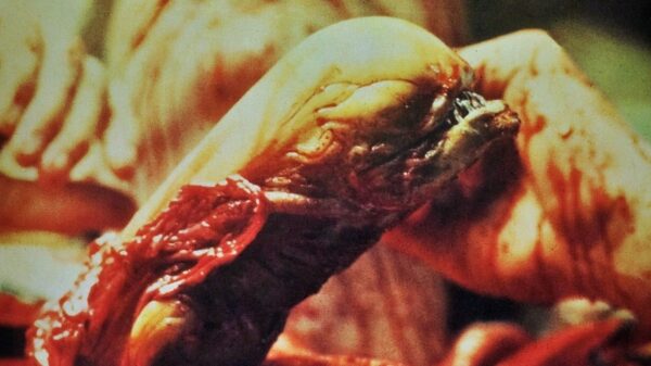 OBCY (1979) Exclusive PREMIUM - ULTRA UNIKAT !!! - obrazek 2