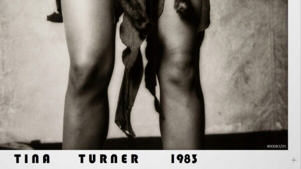 TINA TURNER (1983) Foto/Poster Vintage PREMIUM !!! - obrazek 3
