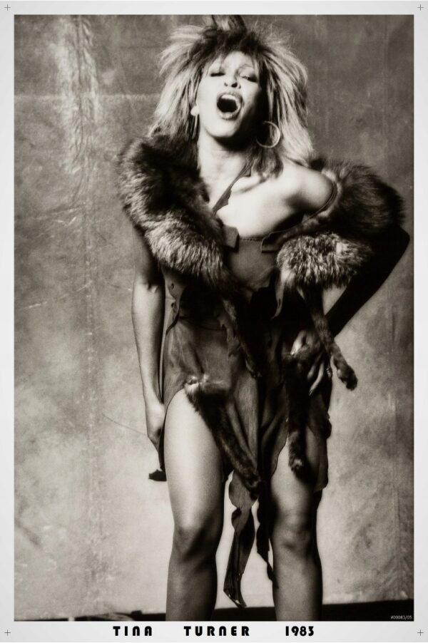 TINA TURNER (1983) Foto/Poster Vintage PREMIUM !!!