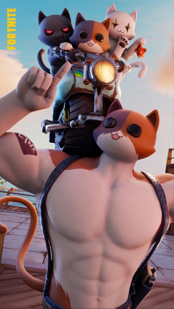 FORTNITE sezon 13 - plakaty PREMIUM !! różne wzory - obrazek 4