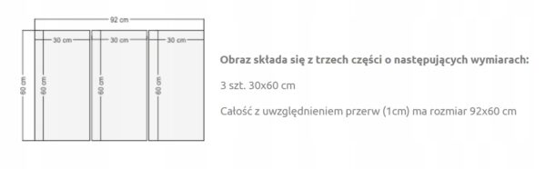 AKIRA - Tryptyk Exclusive PREMIUM XL 3x OBRAZ - obrazek 2