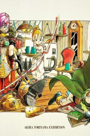 Akira Toriyama (1995) Obraz UNIQUE PREMIUM - HIT !