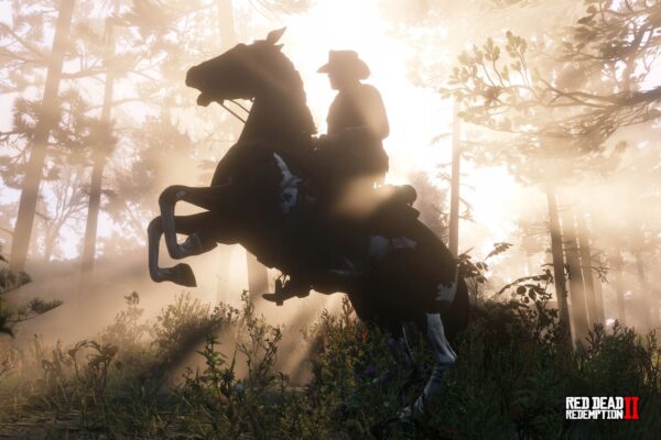 RED DEAD REDEMPTION 2 - RDR2 - PREMIUM 120x80cm - obrazek 5